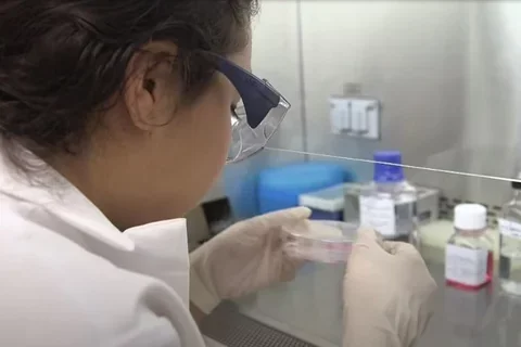 CIRM is paving a path for cures